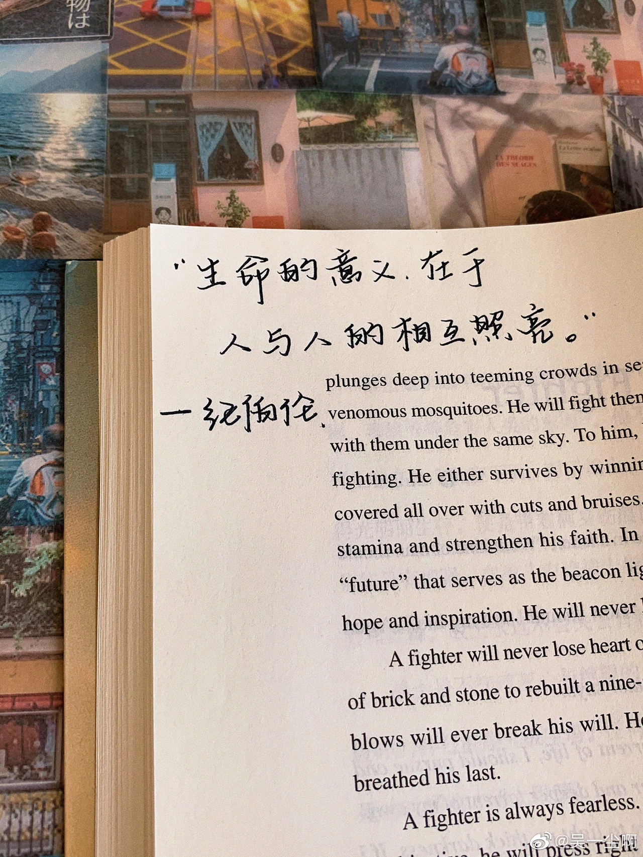 你一定要知道的事情：臂推是不是和进去了一样，2025年臂推是不是和进去了一样深度解析