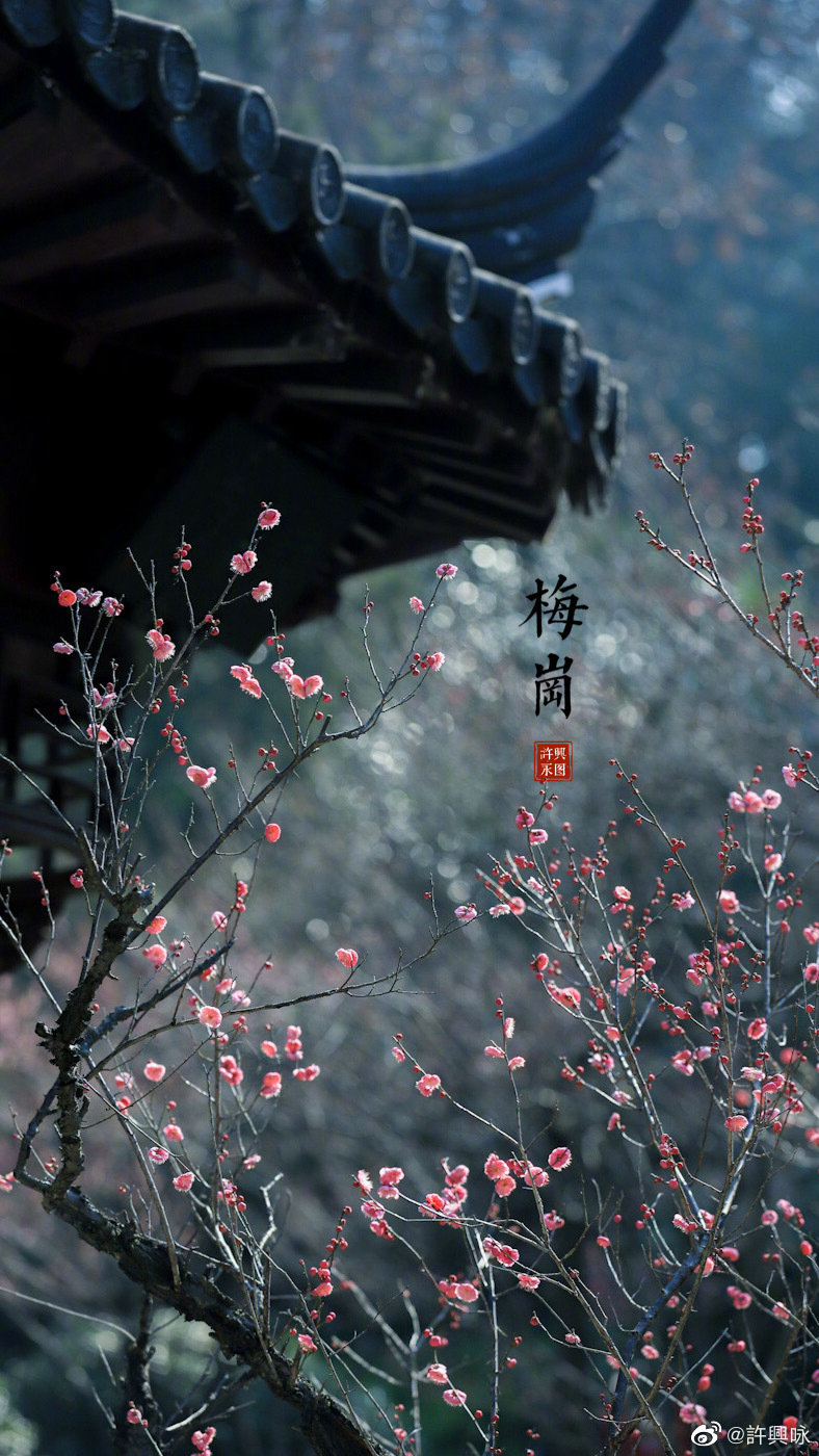 小窗含疏影曲廊浮暗香摄影师