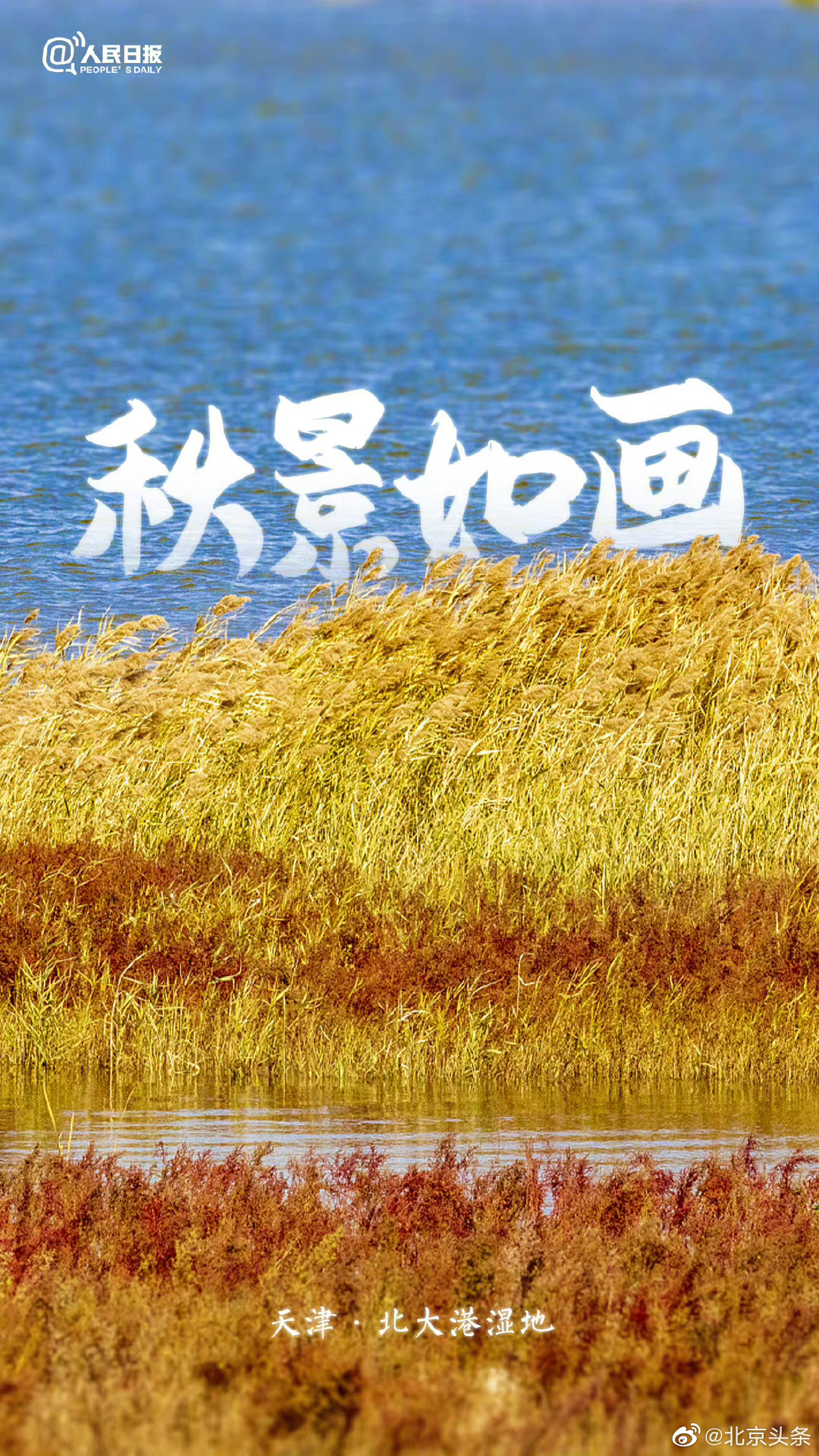 美!这就是秋天的氛围感__财经头条