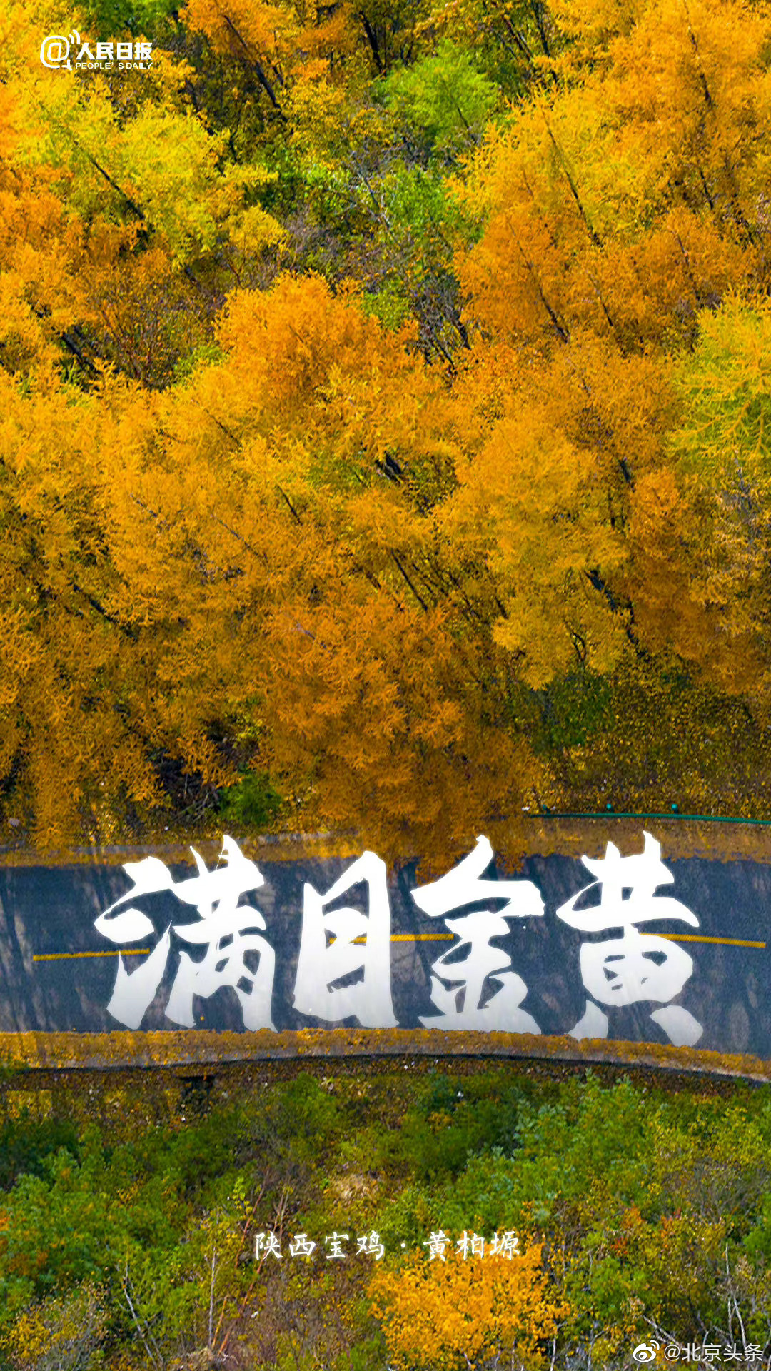 美!这就是秋天的氛围感__财经头条