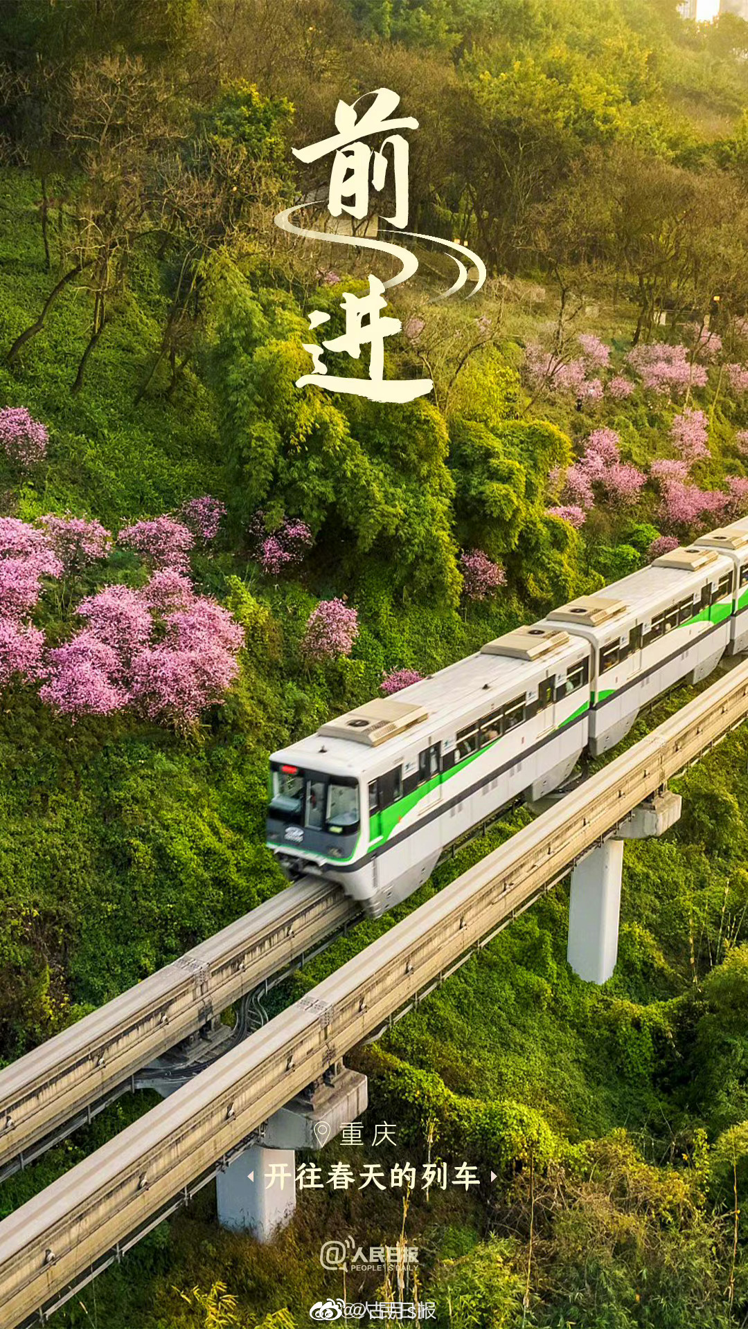 珠海品茶自带工作室加v靠谱吗？全面解析珠海旅游及养老环境推荐