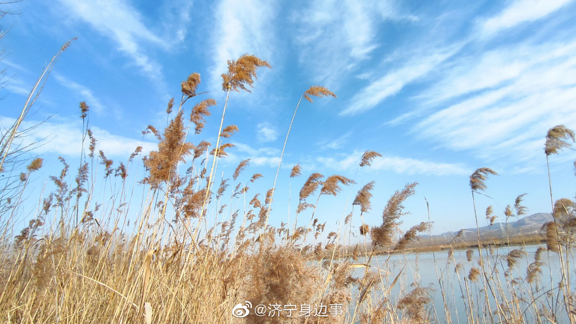 济宁 冬季的微山湖畔_高清图集_新浪网