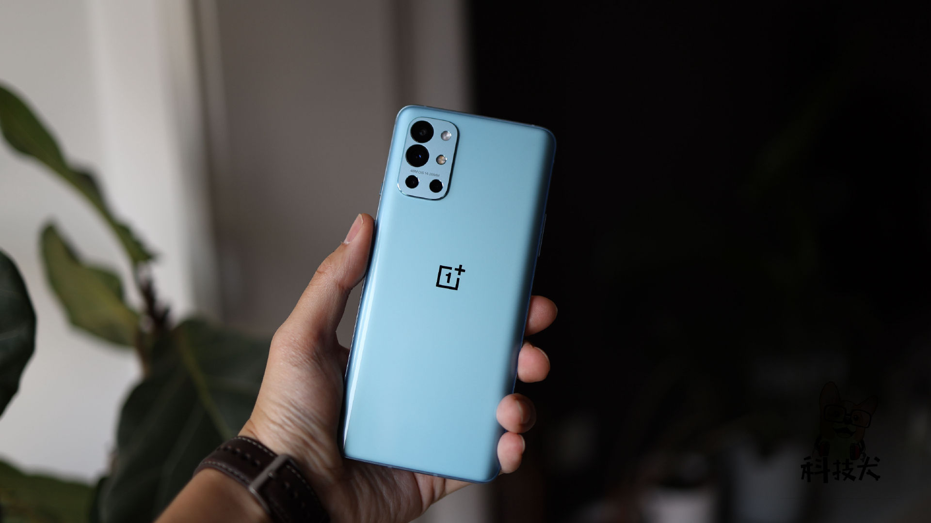 一加9r评测3000价位段难得的质感好打游戏也不错的日常主力机