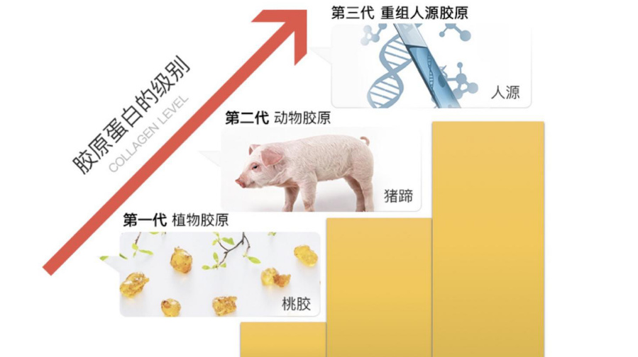 了不起的人源化新材料：重组Ⅲ型人源化胶原蛋白
