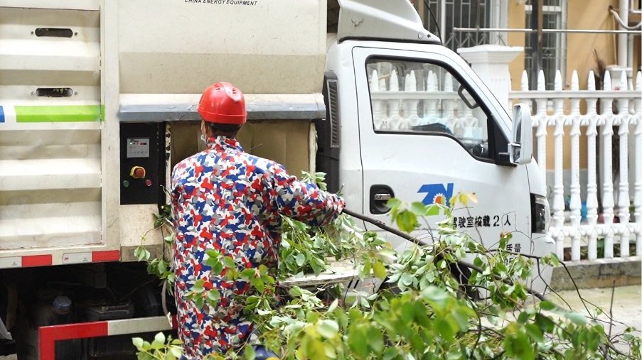 数据库预处理使用