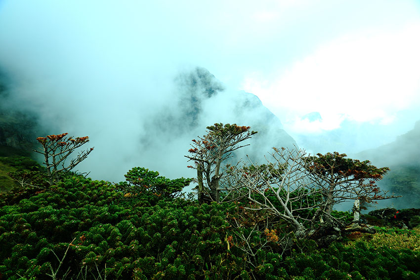 云南药山国家级自然保护区自然地质遗迹保护成效明显|国家级自然保护