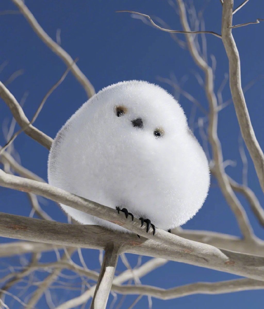 可爱小肥啾(银喉长尾山雀)_高清图集_新浪网