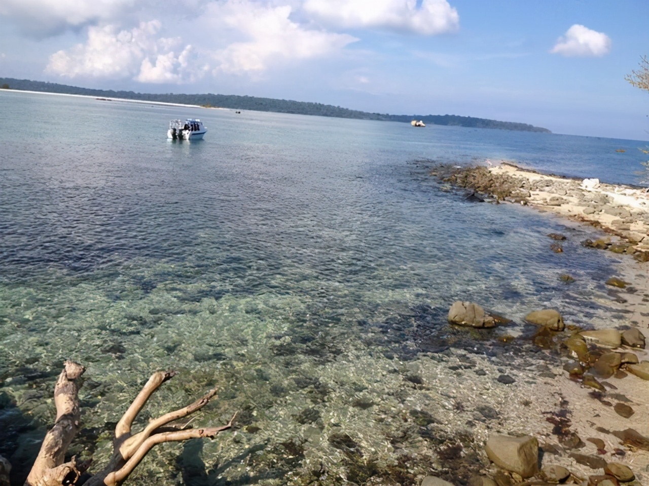 巴西的蛇岛叫做大凯马达岛,距离巴西圣保罗的海岸有35公里,当地的政府