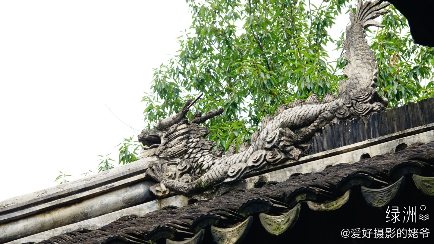 屋脊之龙. 国内罕见,唯此一处.常州东坡公园