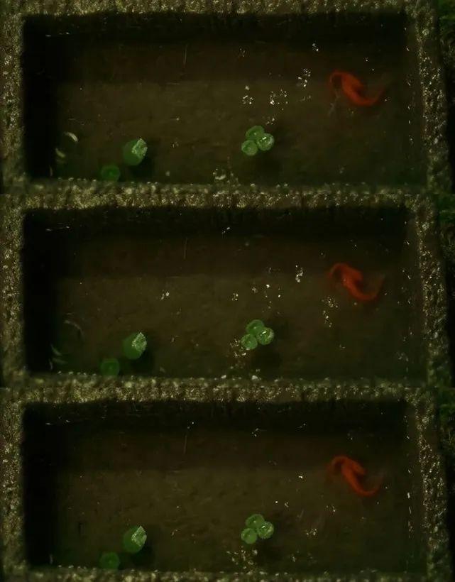 刘亦菲吻戏最多的剧!入戏太深太忘我 ,网友:女神自己主动?!休闲区蓝鸢梦想 - Www.slyday.coM 刘亦菲吻戏最多的剧!入戏太深太忘我 ,网友:女神自己主动?!休闲区蓝鸢梦想 - Www.slyday.coM