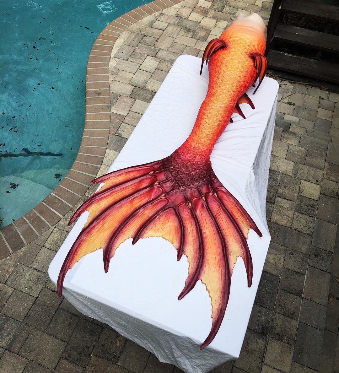 硅胶美人鱼尾巴 67硅胶美人鱼尾巴 67硅胶美人鱼尾巴