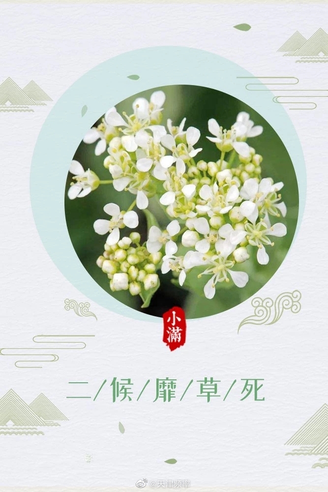 小满三候_高清图集_新浪网