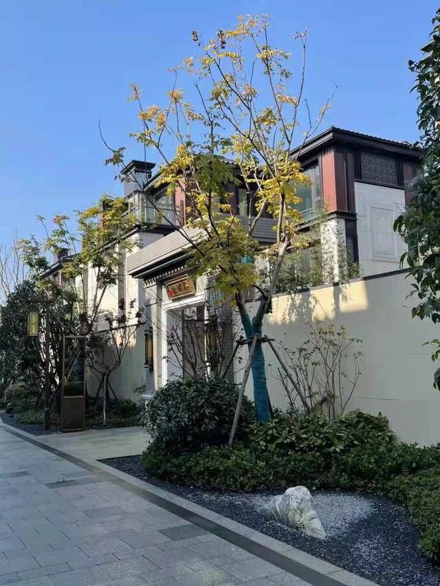 历经三年波折泰禾杭州院子迎来交付