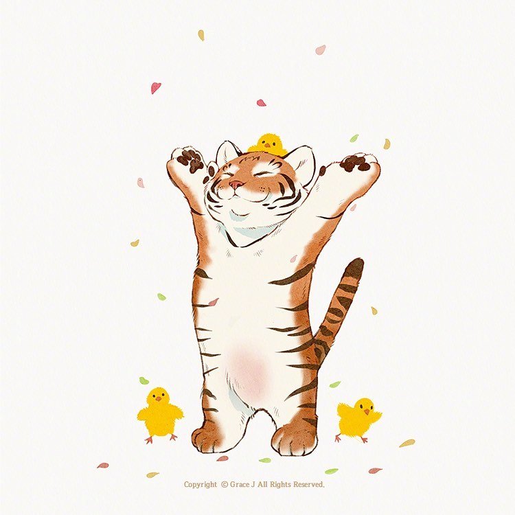 一只老虎与七只猫咪的日常温馨有爱gracej