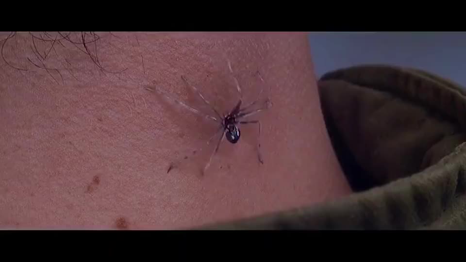 小伙被蜘蛛咬了一口,没想到竟然获得神力__财经头条