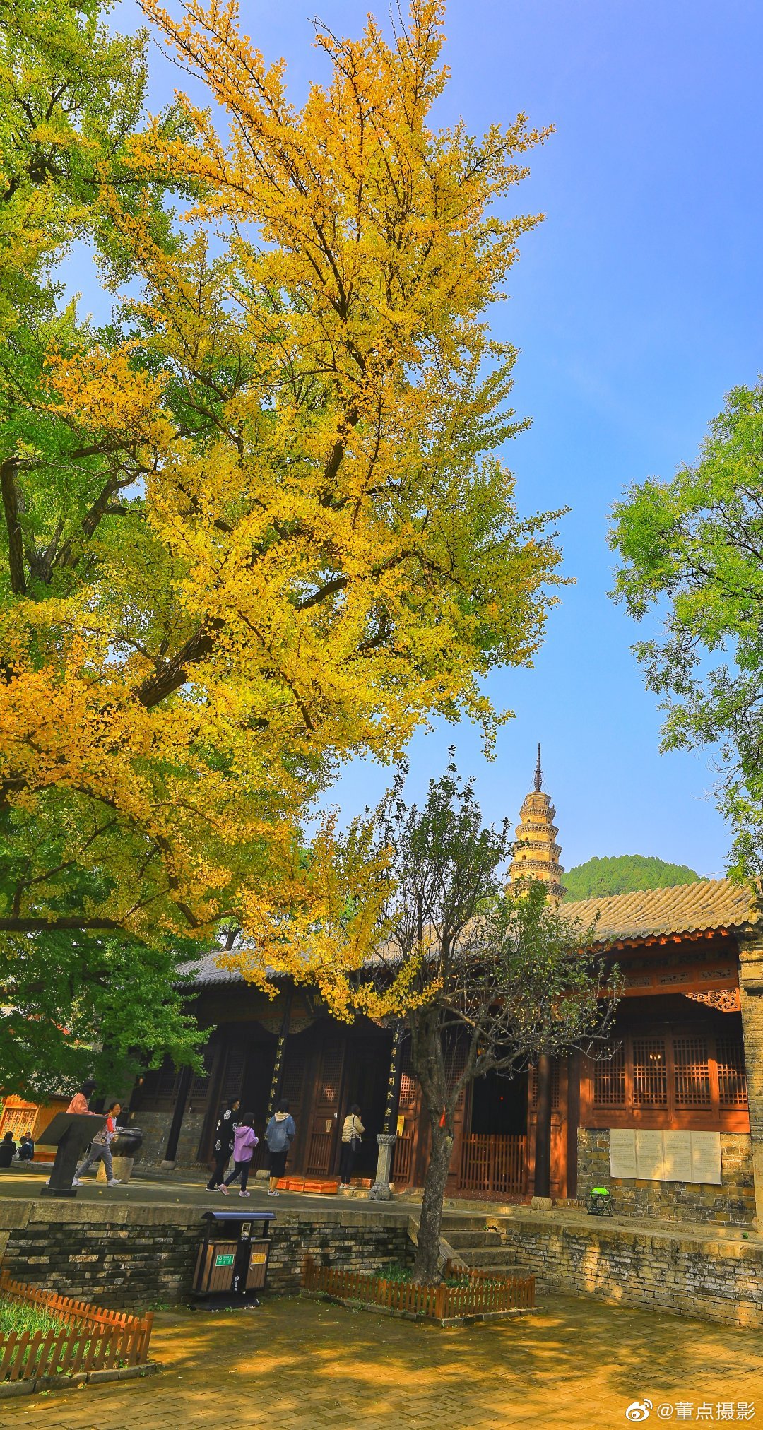 济南长清大灵岩寺最美的绚丽秋光
