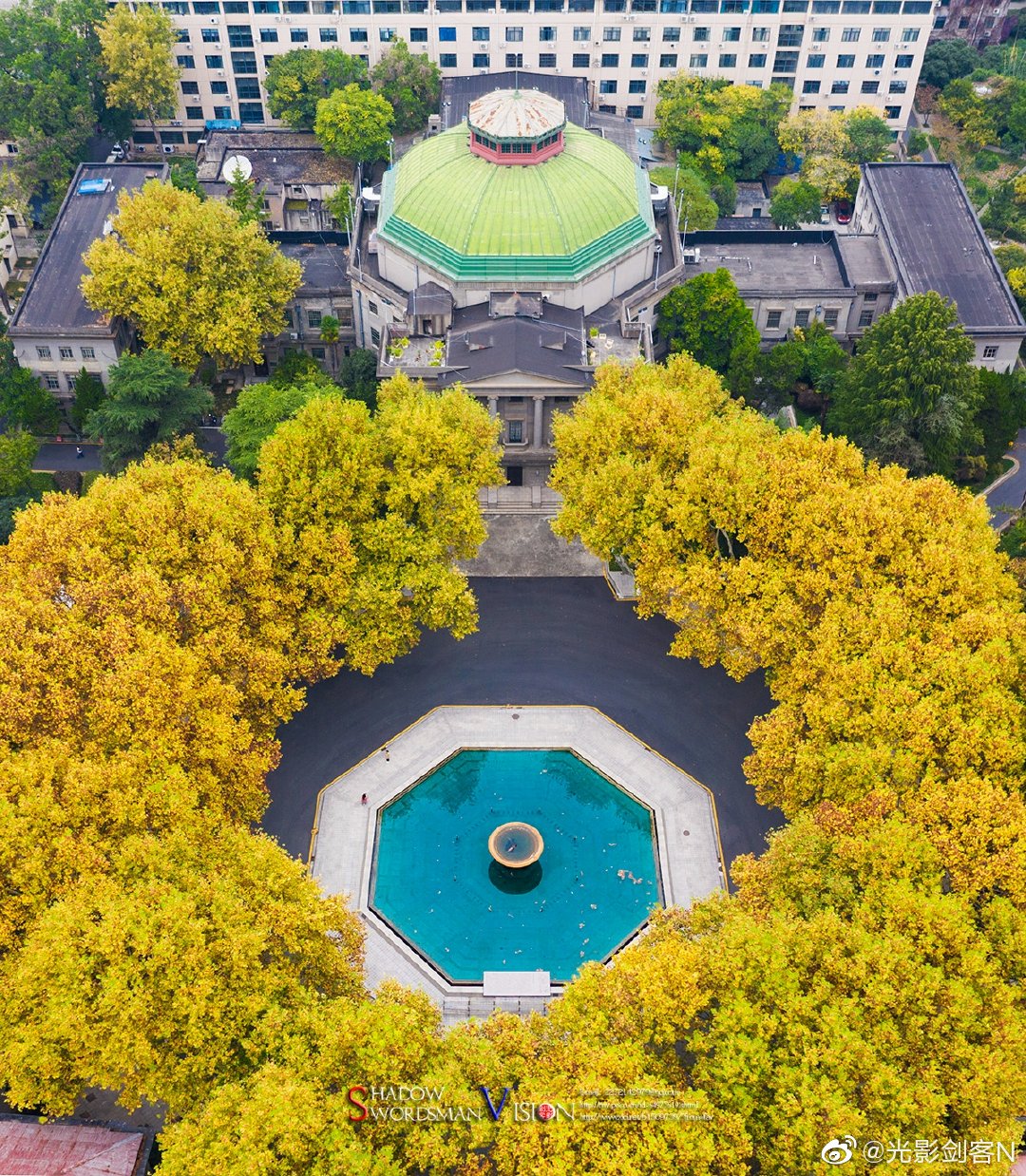 一池秋水梧桐最美南京东南大学秋