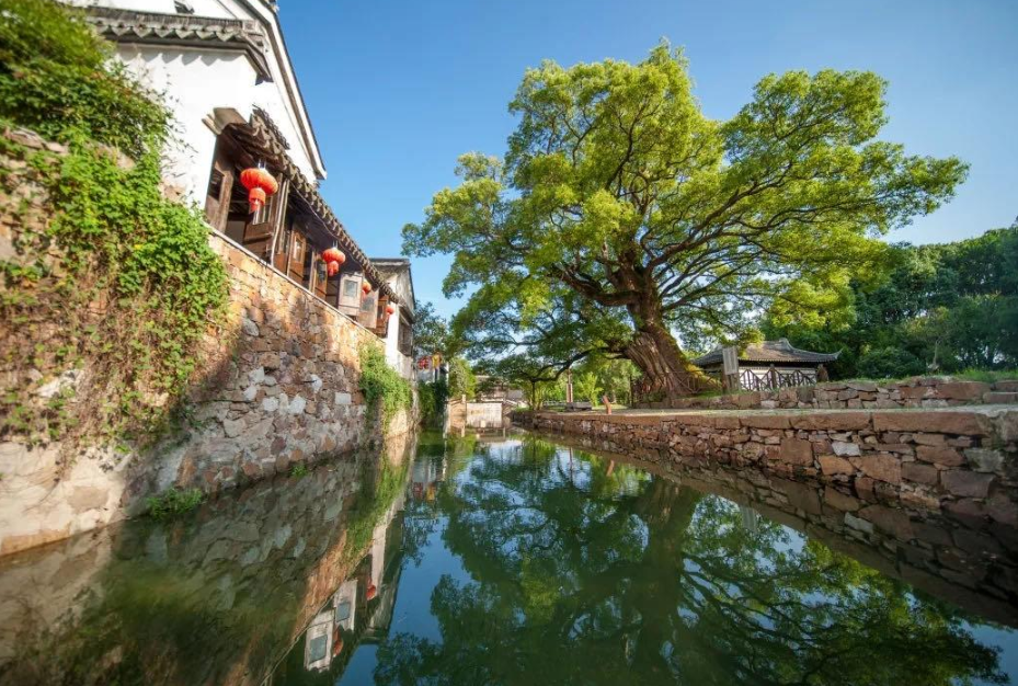江苏西山岛上的"绝美"古村,门票50元,景色不输周庄乌镇