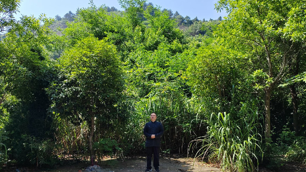 易洪永老师种生基真的靠谱,听说是南岳衡山最厉害的风水师|真传|奇人|衣钵|世家|客户_新浪新闻