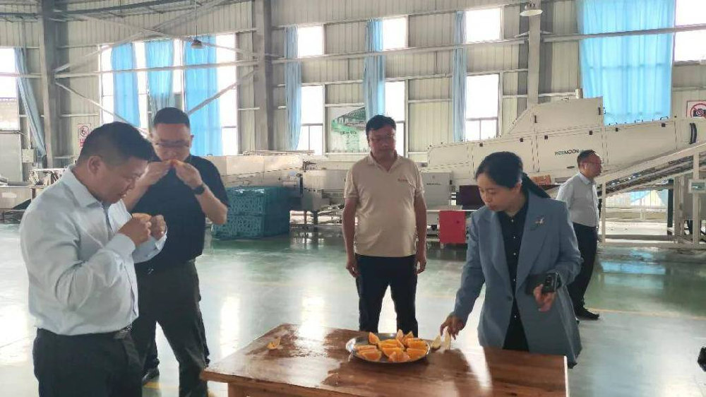 重庆石柱县政府副县长王淑蓉一行到辰颐物语产业园调研|秭归|重庆市|秭归县|石柱土家族自治县|东方甄选_新浪新闻