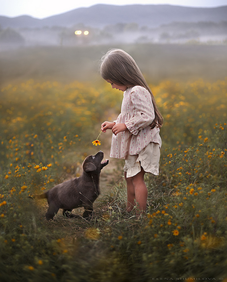 孩子与动物的温暖瞬间 摄影人:elena shumilova