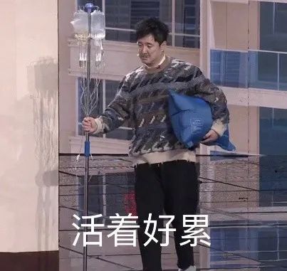 贾玲带着山东方言上春晚、首次主持上热搜...昨晚这些画面，网友都说休闲区蓝鸢梦想 - Www.slyday.coM