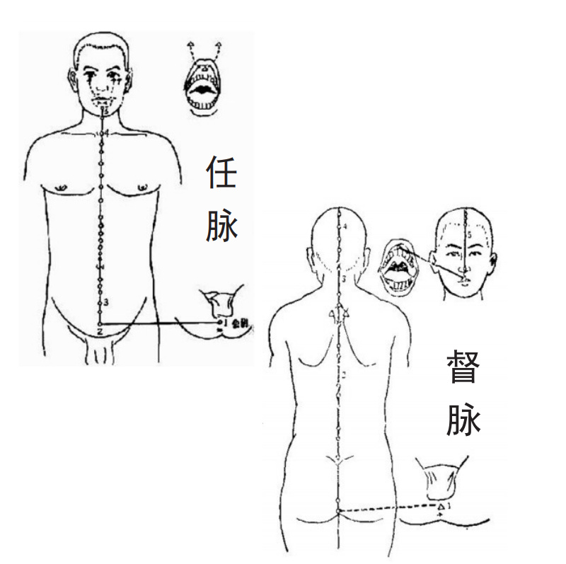 7类人容易提前长白发，不同位置的白头发这样改善休闲区蓝鸢梦想 - Www.slyday.coM