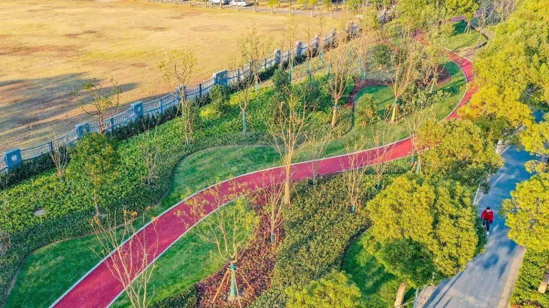 四时花开终年常绿临港新片区的这条绿带焕然一新