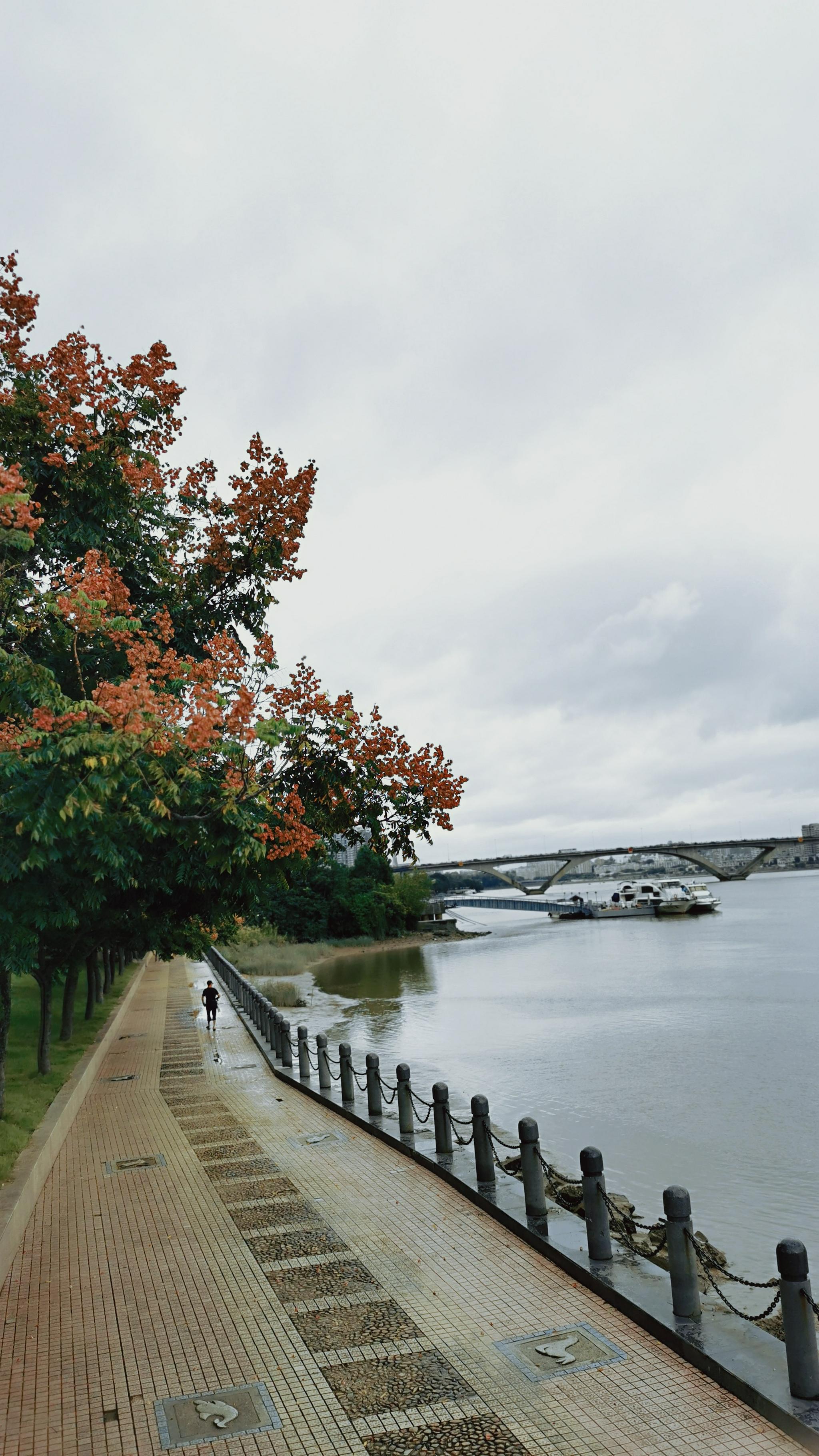 细雨朦胧带卡卡逛闽江公园北园明月溪