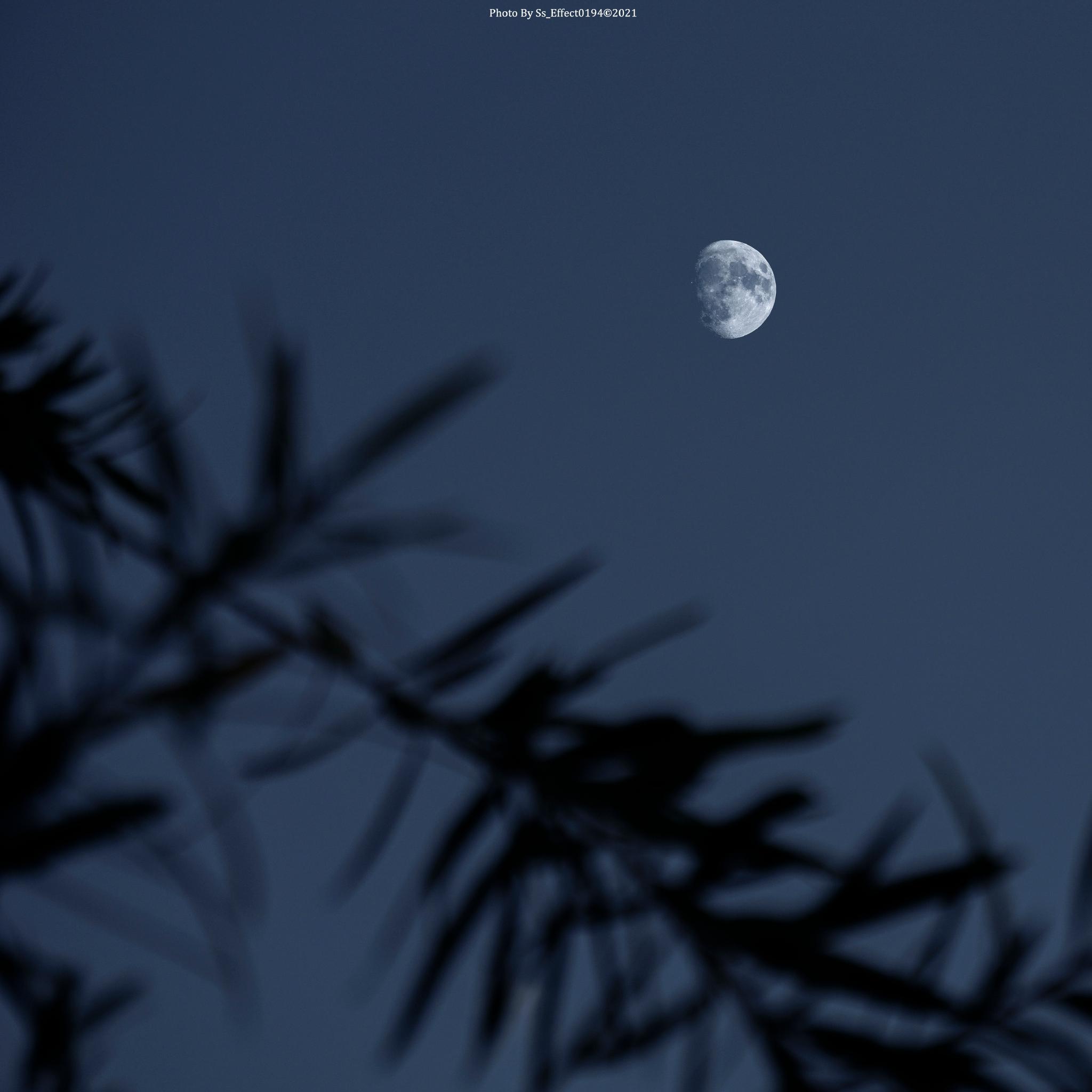 守得云开见月明摄影