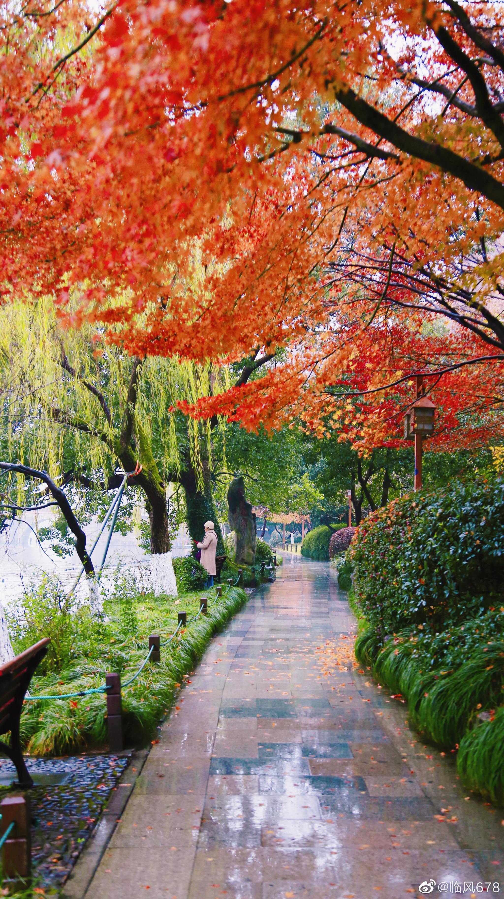 醉美杭州,西湖西冷桥._高清图集_新浪网