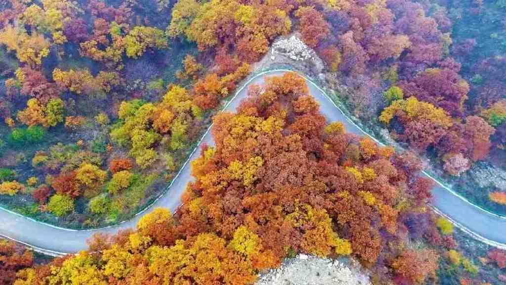 黄龙的秋天已送达,满山红叶惊艳来袭……休闲区蓝鸢梦想 - Www.slyday.coM 黄龙的秋天已送达,满山红叶惊艳来袭……休闲区蓝鸢梦想 - Www.slyday.coM