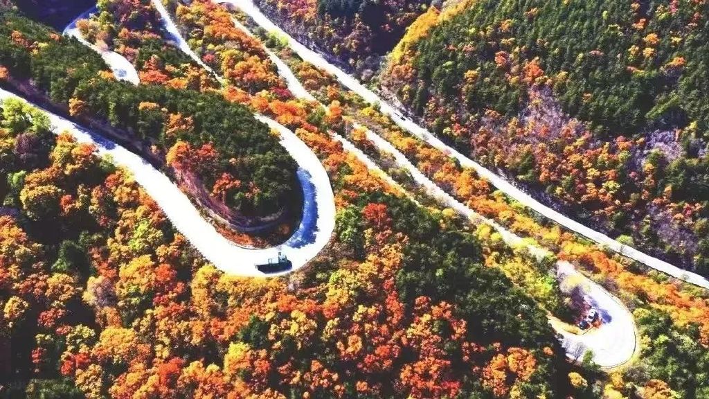 黄龙的秋天已送达,满山红叶惊艳来袭……休闲区蓝鸢梦想 - Www.slyday.coM 黄龙的秋天已送达,满山红叶惊艳来袭……休闲区蓝鸢梦想 - Www.slyday.coM