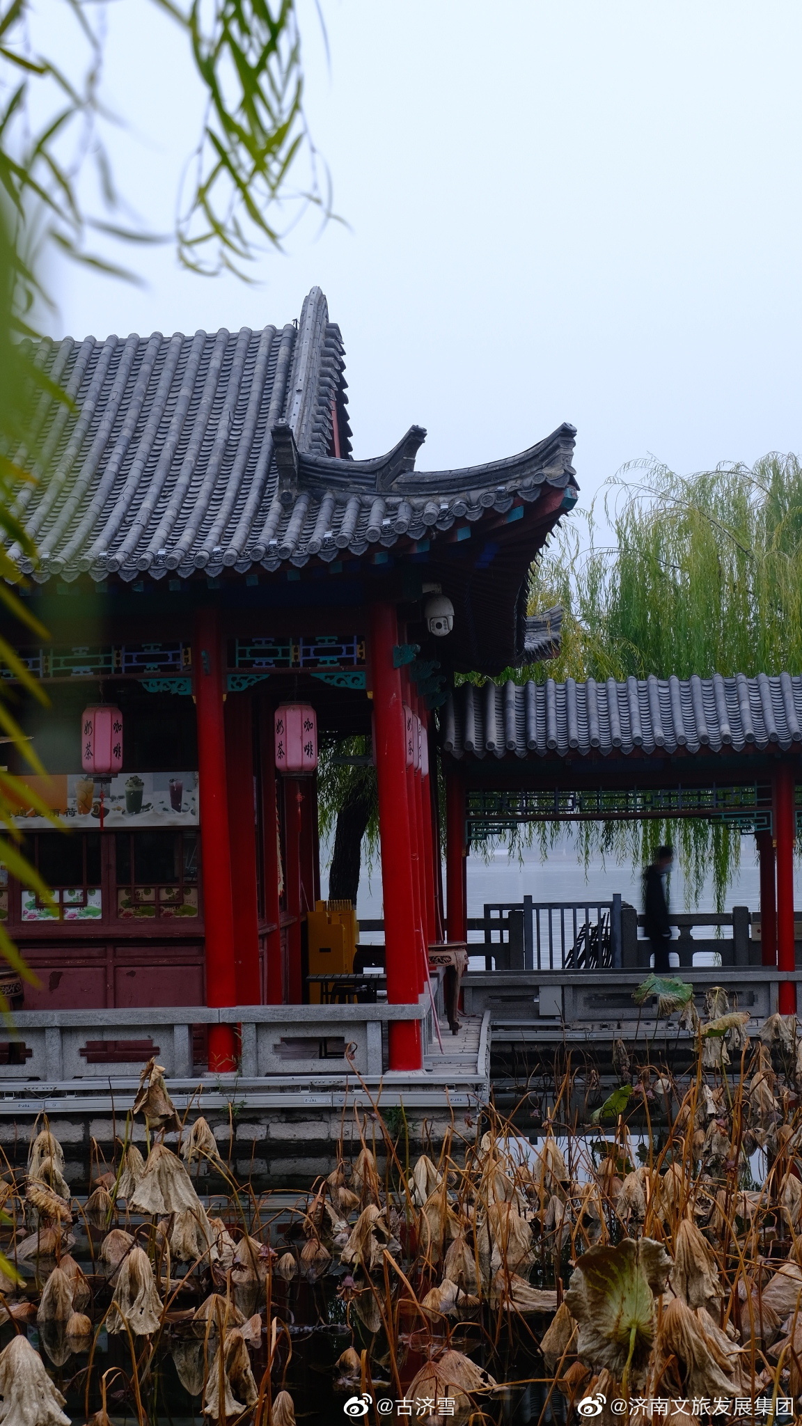 济南大明湖冬日小沧浪亭残荷! (摄影@古济雪 )