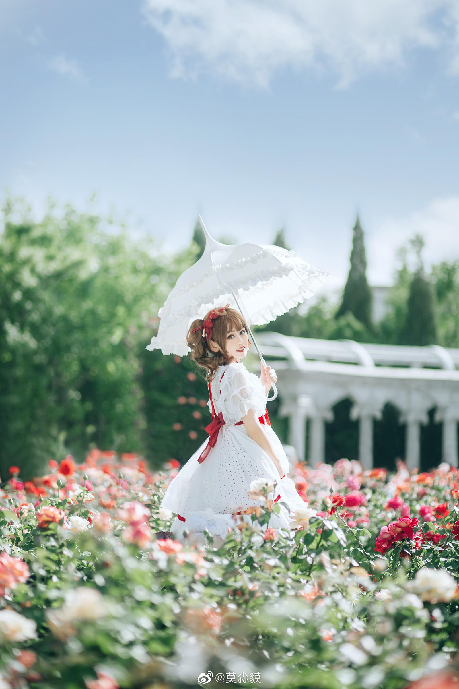 神秘花园_高清图集_新浪网