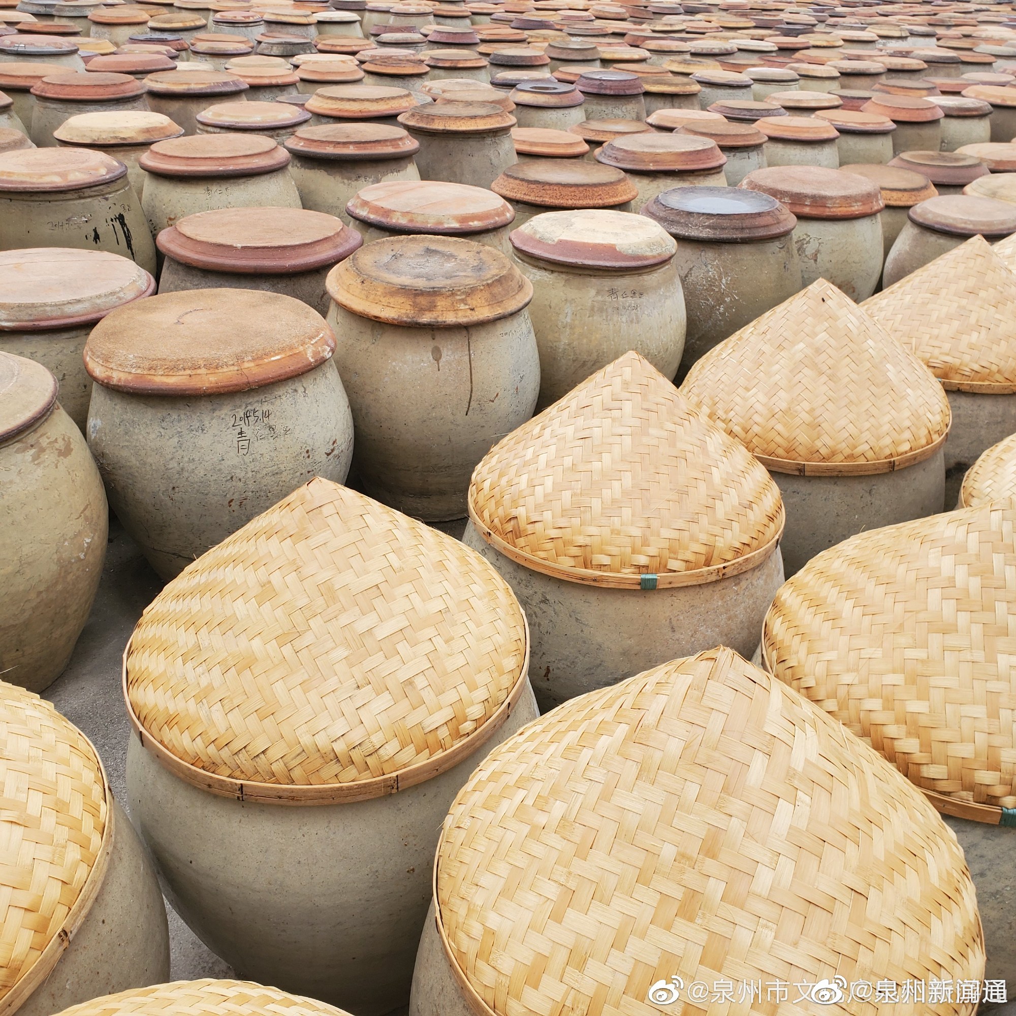 要不要一起去"打酱油"