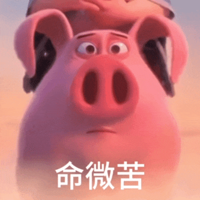 表情包丨全是动图