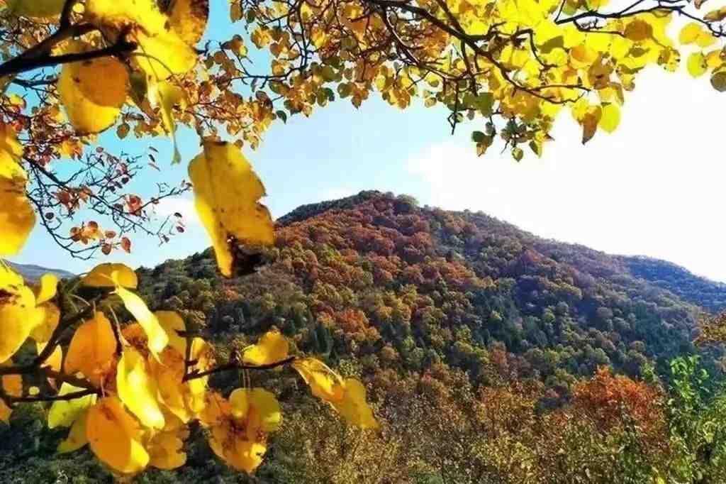 黄龙的秋天已送达,满山红叶惊艳来袭……休闲区蓝鸢梦想 - Www.slyday.coM 黄龙的秋天已送达,满山红叶惊艳来袭……休闲区蓝鸢梦想 - Www.slyday.coM