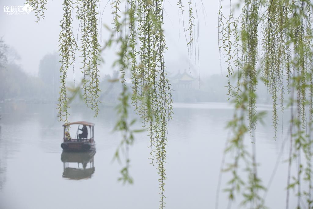 沾衣欲湿杏花雨吹面不寒杨柳风