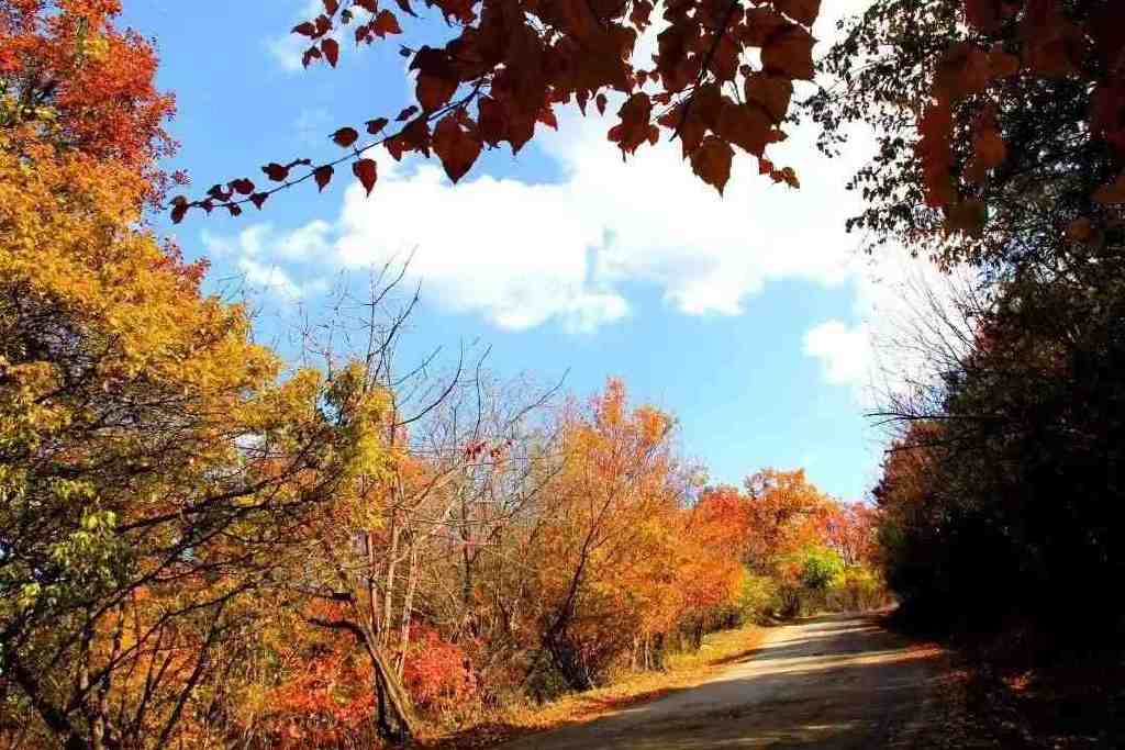 黄龙的秋天已送达,满山红叶惊艳来袭……休闲区蓝鸢梦想 - Www.slyday.coM 黄龙的秋天已送达,满山红叶惊艳来袭……休闲区蓝鸢梦想 - Www.slyday.coM