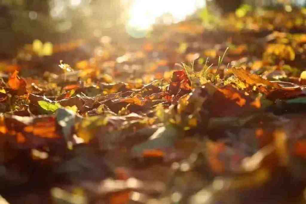 黄龙的秋天已送达,满山红叶惊艳来袭……休闲区蓝鸢梦想 - Www.slyday.coM 黄龙的秋天已送达,满山红叶惊艳来袭……休闲区蓝鸢梦想 - Www.slyday.coM