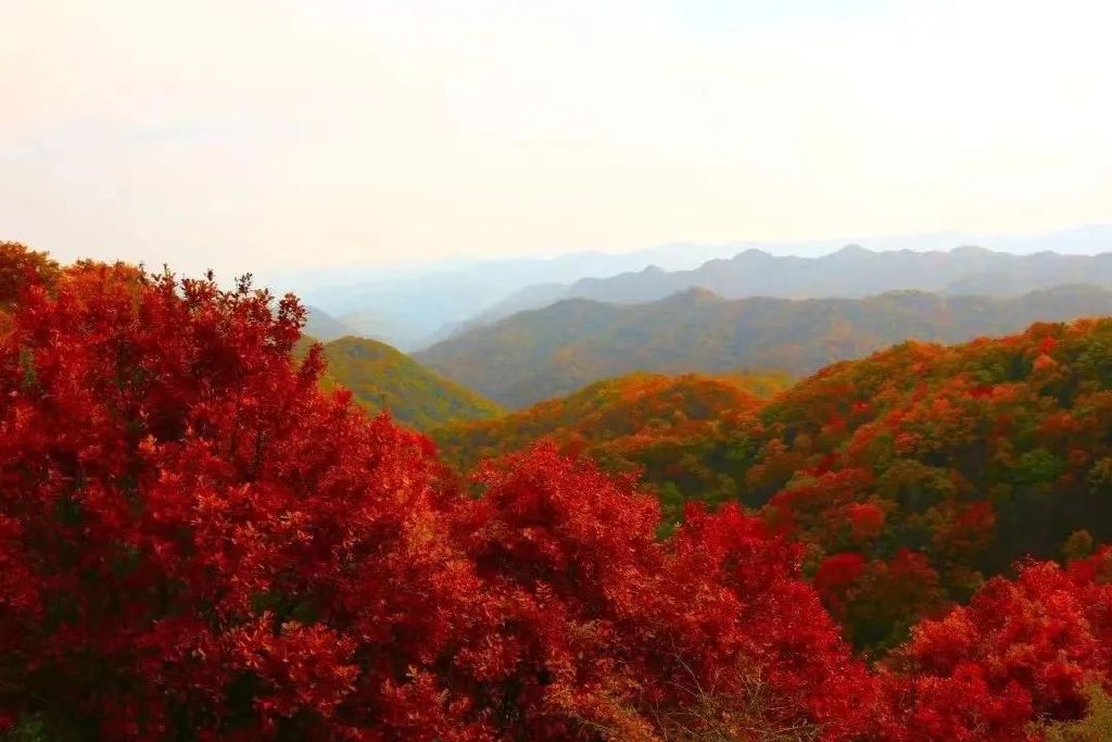 黄龙的秋天已送达,满山红叶惊艳来袭……休闲区蓝鸢梦想 - Www.slyday.coM 黄龙的秋天已送达,满山红叶惊艳来袭……休闲区蓝鸢梦想 - Www.slyday.coM
