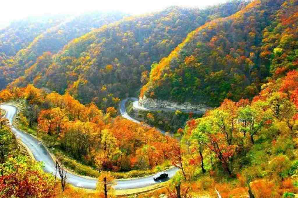 黄龙的秋天已送达,满山红叶惊艳来袭……休闲区蓝鸢梦想 - Www.slyday.coM 黄龙的秋天已送达,满山红叶惊艳来袭……休闲区蓝鸢梦想 - Www.slyday.coM