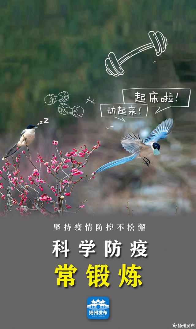 扬州发布海报呆萌有趣这组防疫海报请查收