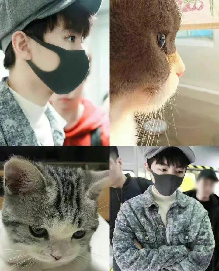 动物系男明星有多离谱？肖战兔系，猴系帅哥多，看到虾系绷不住了休闲区蓝鸢梦想 - Www.slyday.coM