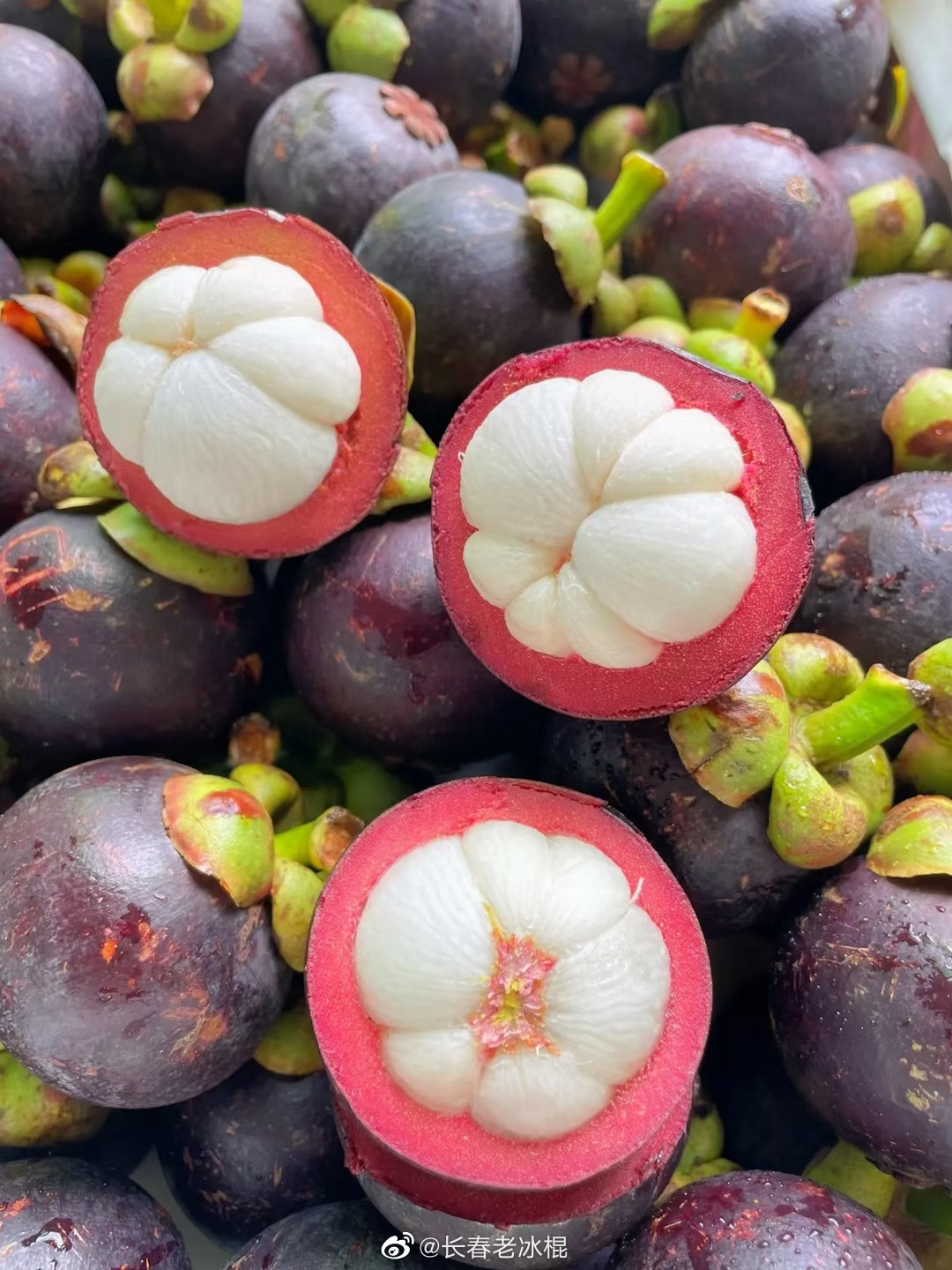 山竹有喜欢吃的吗