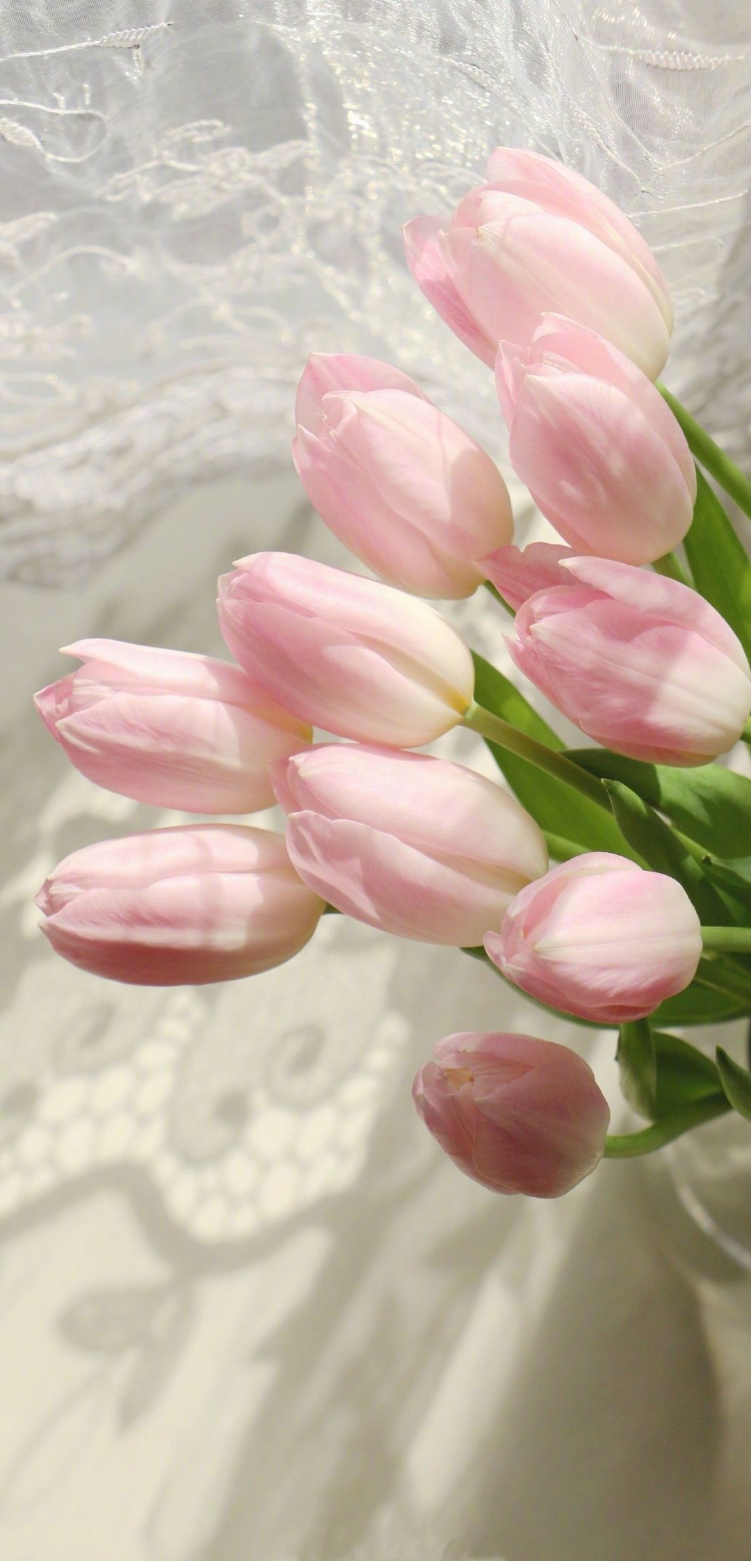 一组花花壁纸新的一周好心情