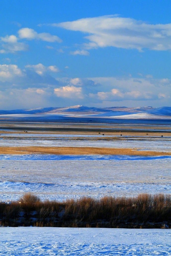 草原冬天纯净无垠