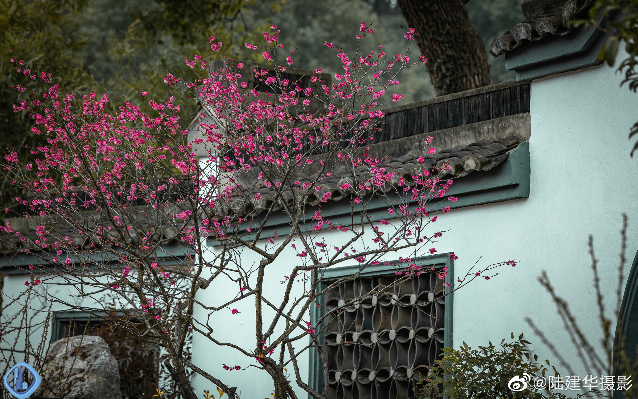 惠州世外梅园生态旅游度假区 | 365旅途网