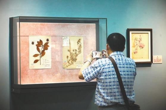 百年前的海棠、锦葵长什么样?这里有答案休闲区蓝鸢梦想 - Www.slyday.coM 百年前的海棠、锦葵长什么样?这里有答案休闲区蓝鸢梦想 - Www.slyday.coM